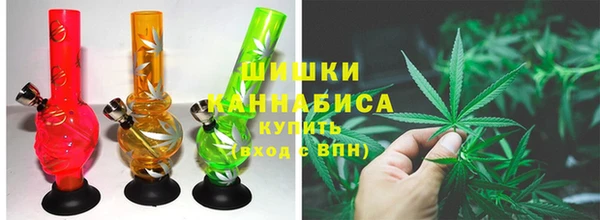 индика Вязники