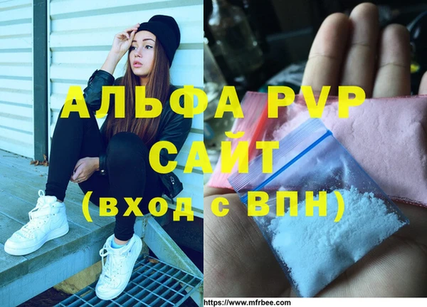 соль ск Великий Новгород