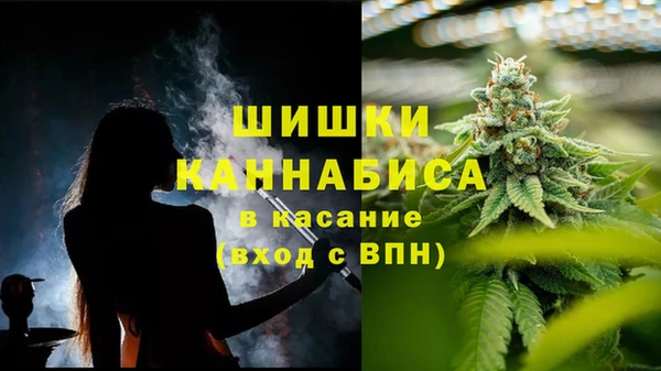 соль ск Великий Новгород