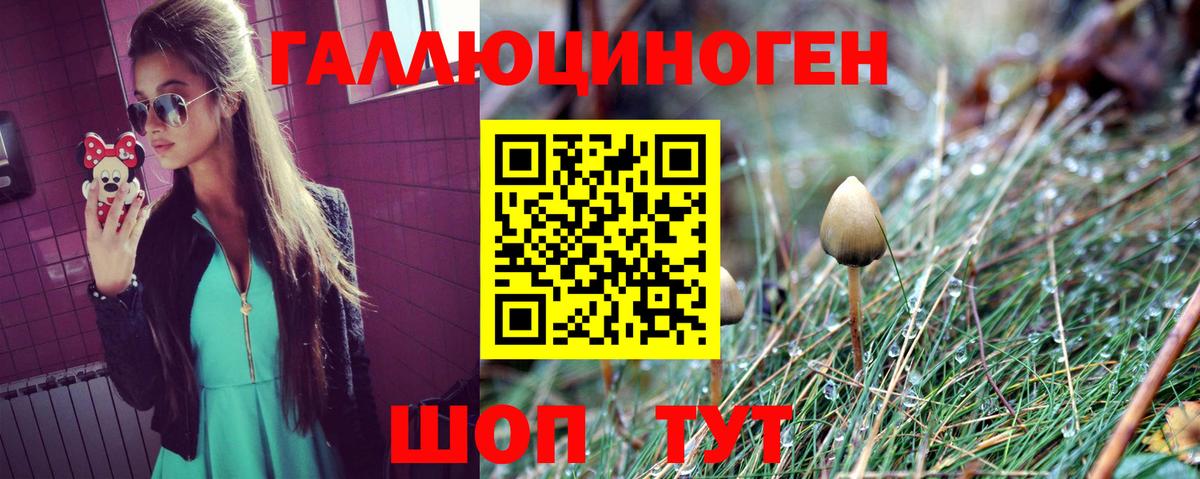 продажа наркотиков  Галлюциногенные грибы MAGIC MUSHROOMS  Вход с VPN  Алапаевск 